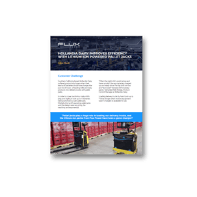 Hollandia Dairy Case Study Resources Graphic-2